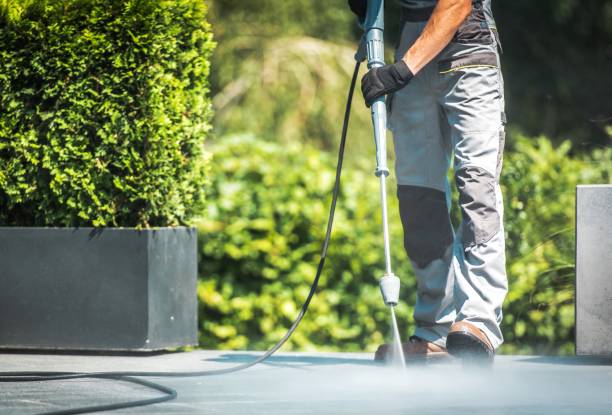Best Sidewalk and Walkway Cleaning  in Depew, NY
